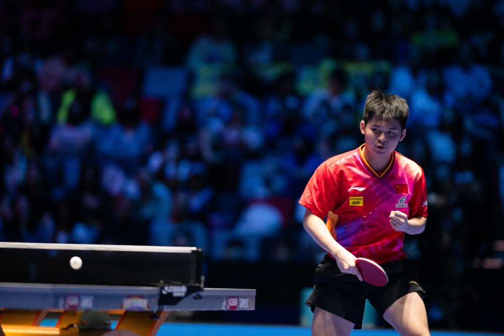 将不仅限于 将不仅限于