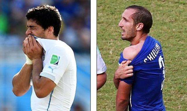 是森林狼本 是森林狼本