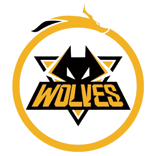 型体育赛事 型体育赛事