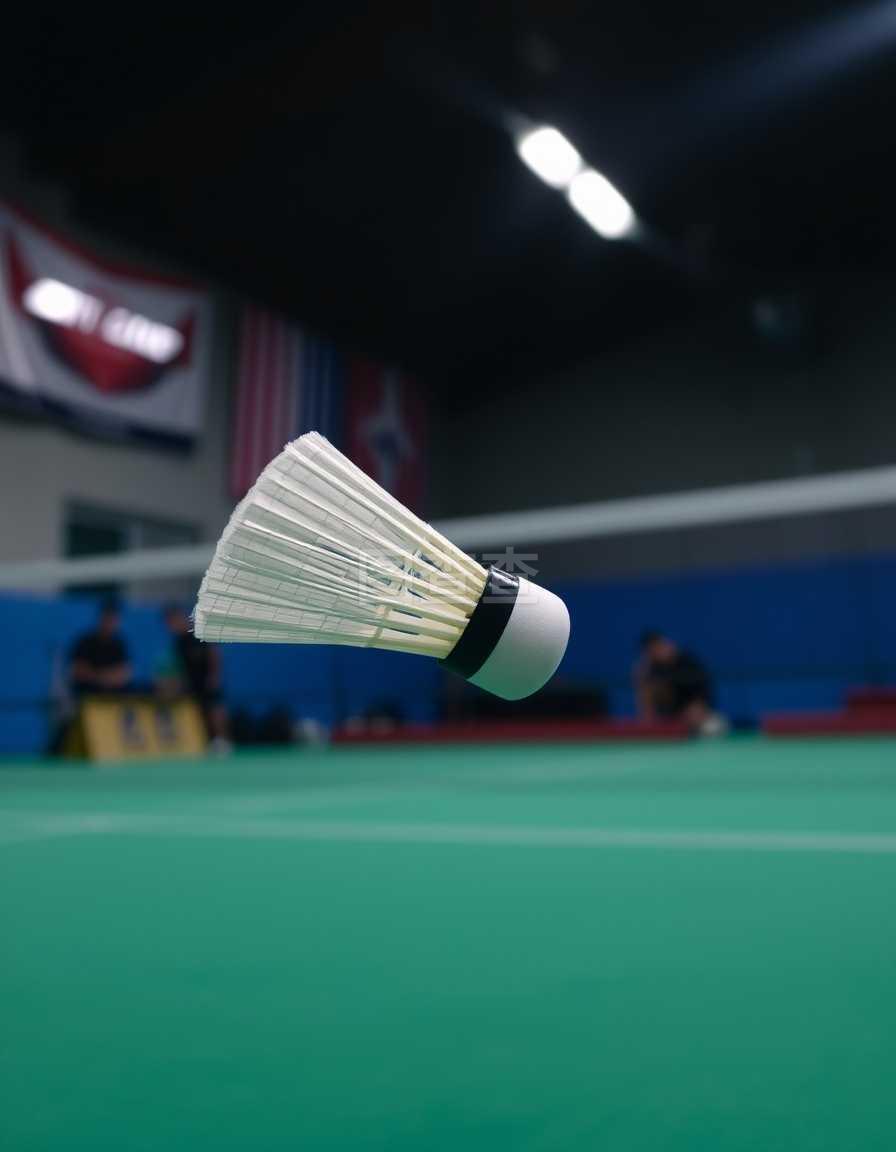 随着全红婵 随着全红婵