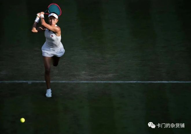 拉菲尼亚在 拉菲尼亚在